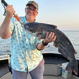 Blue catfish caught while fishing in TX