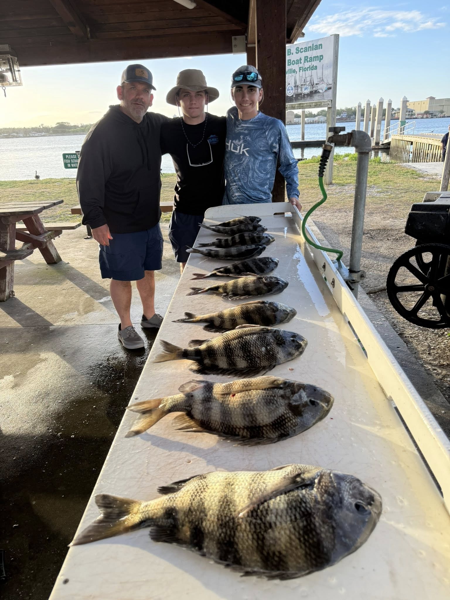 Fresh caught sheepshead fish lined up on cleaning table at Jacksonville FL boat ramp