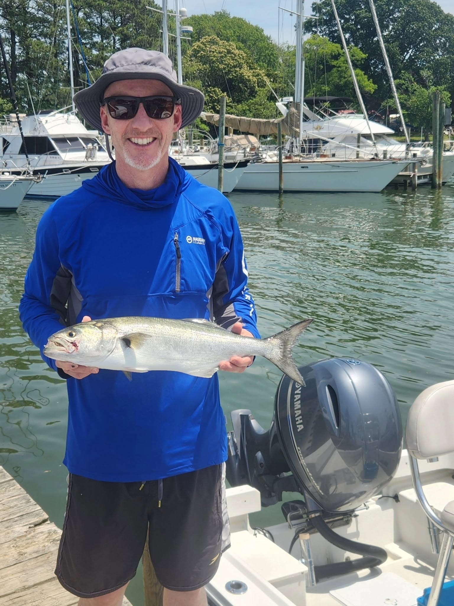 Angler holding caught bluefish on fishing boat at marina in Reedville VA