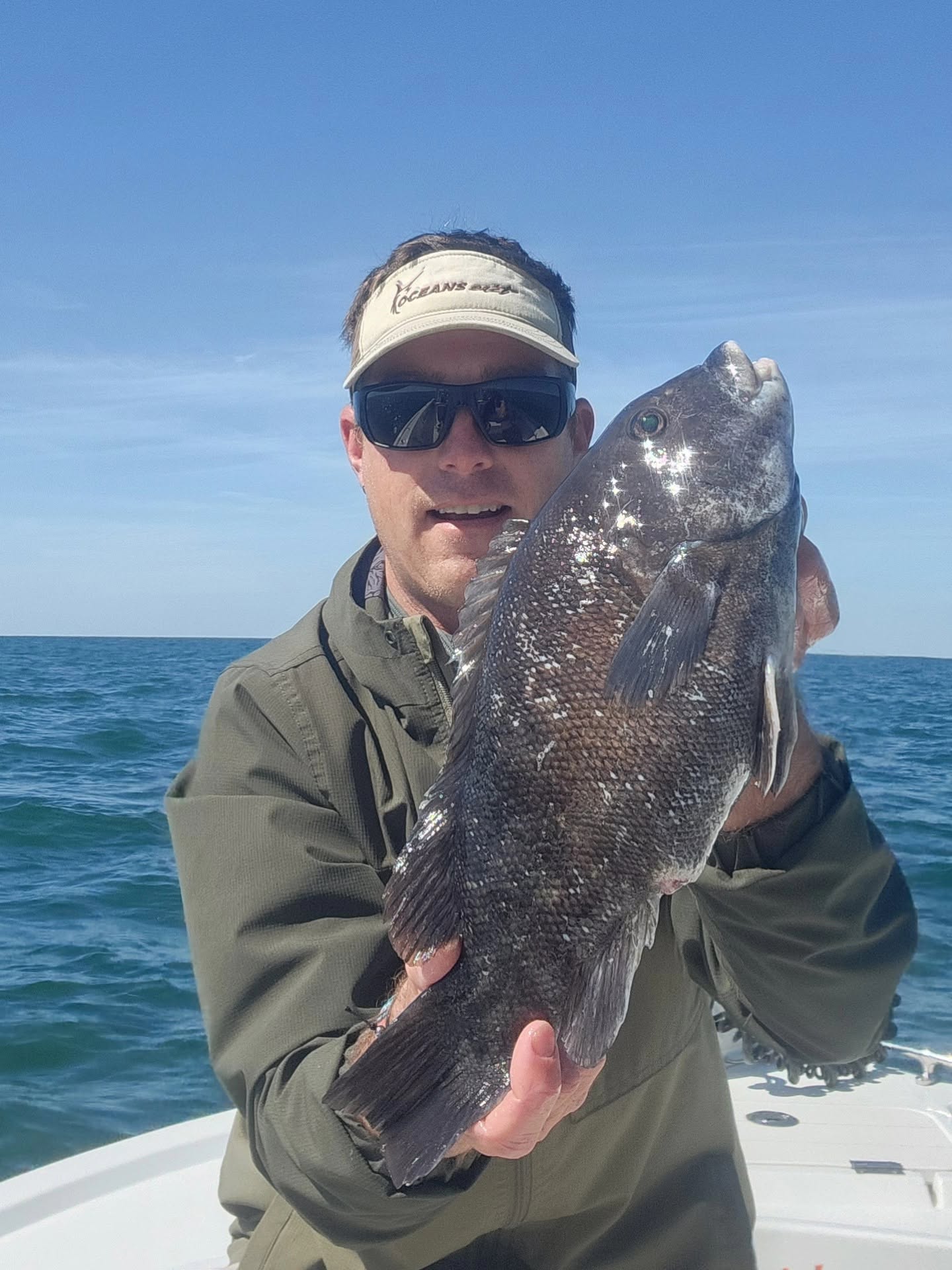 Tautog caught while fishing in Reedville VA waters