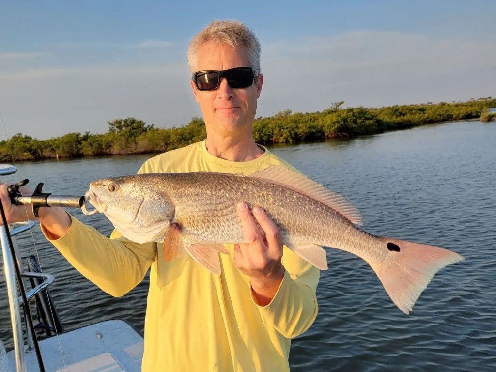 Redfish in Mosquito Lagoon, New Smyrna Beach, FL