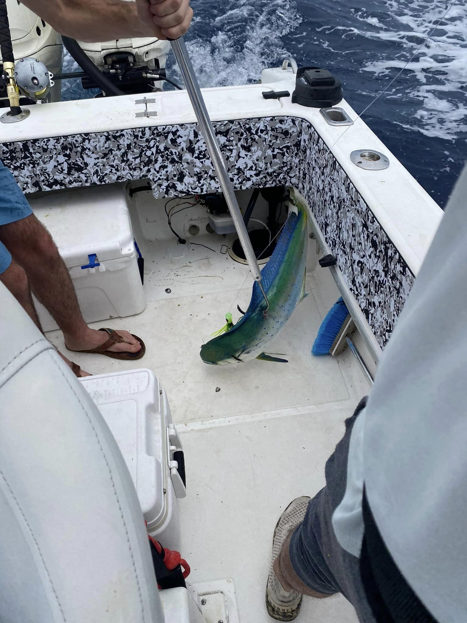 Fishing in Charleston