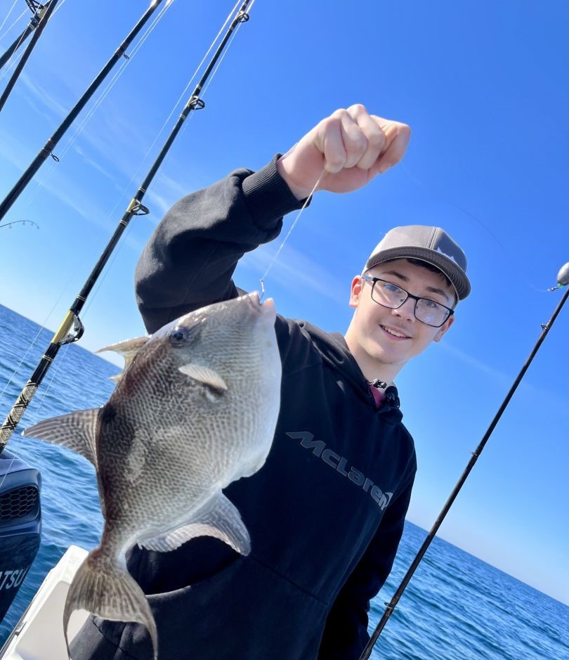 Grey triggerfish caught while fishing in Panama City Beach