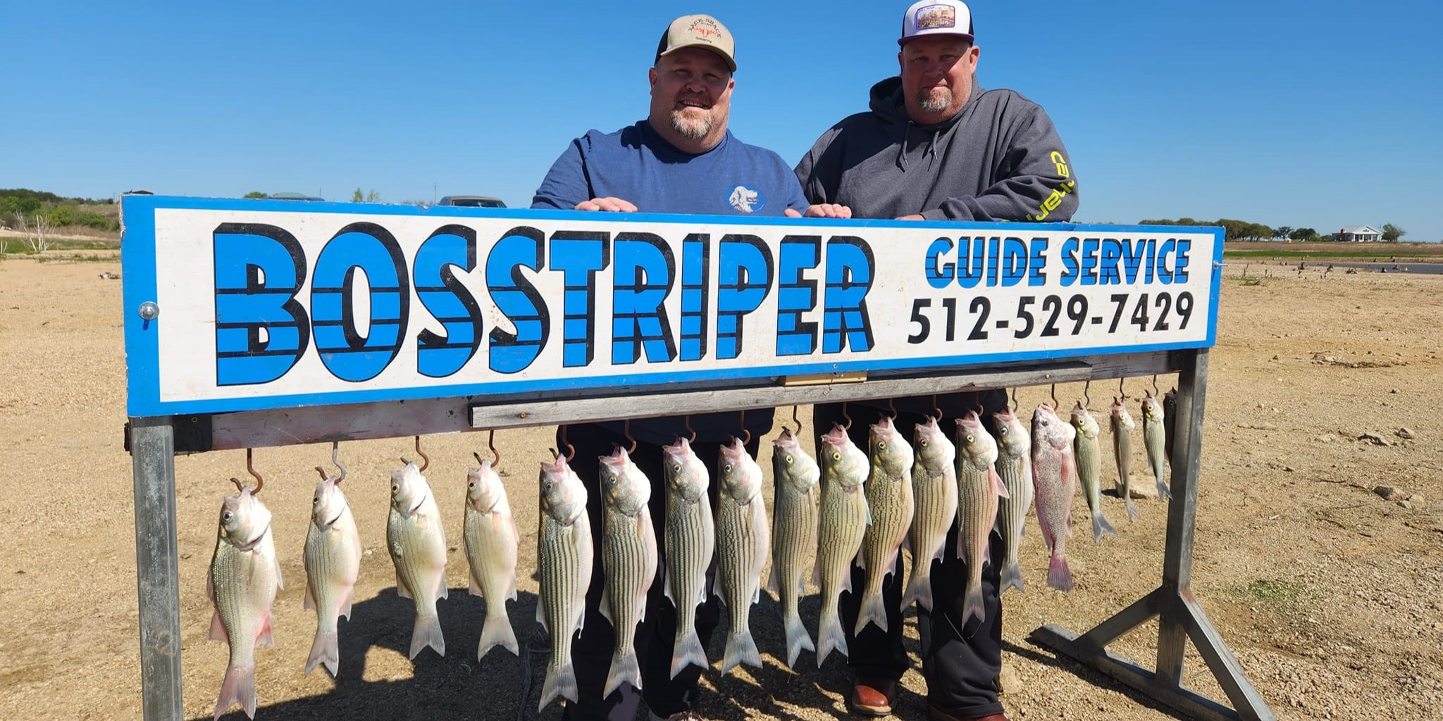 A group of 6 striped bass caught by 2 people at Buchanan Dam