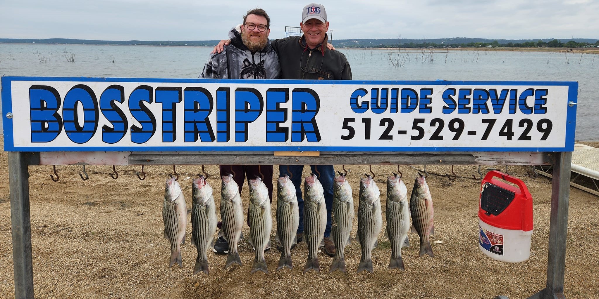 7 yellow bass and striped bass caught in TX
