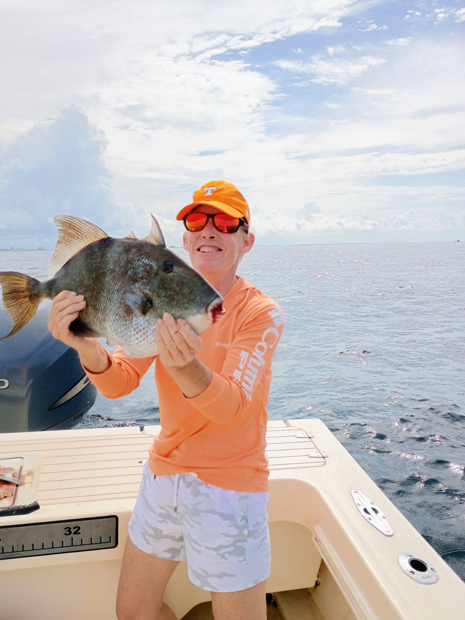 Grey triggerfish catch on fishing boat in Panama City FL waters