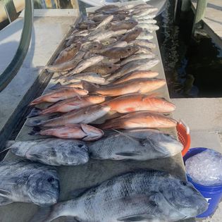 Two fish caught while fishing in FL