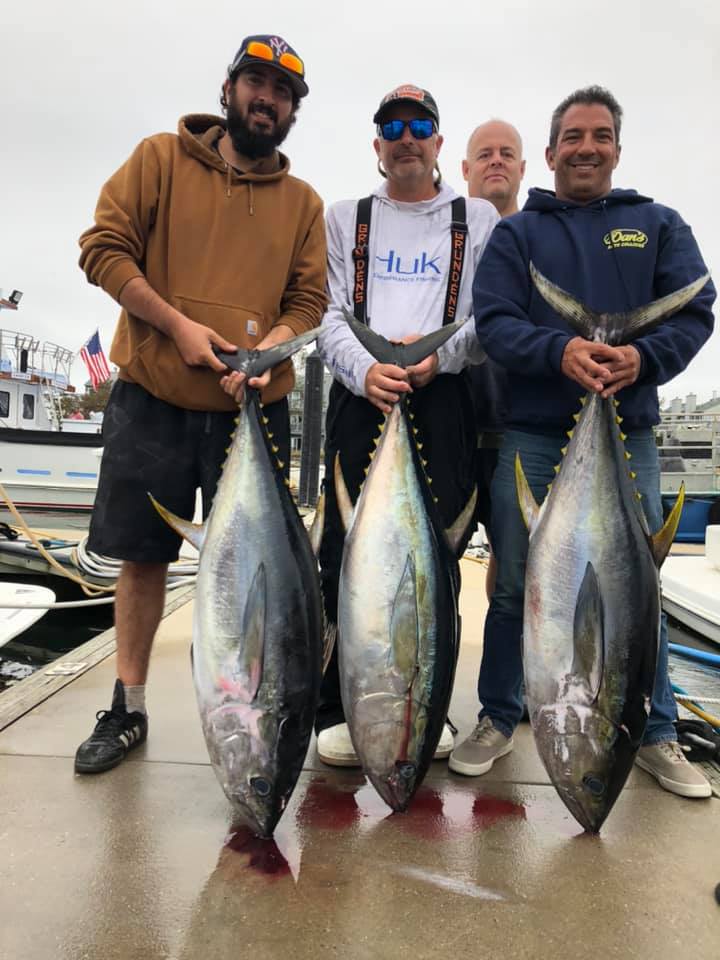 Nice Tuna in Belmar, NJ