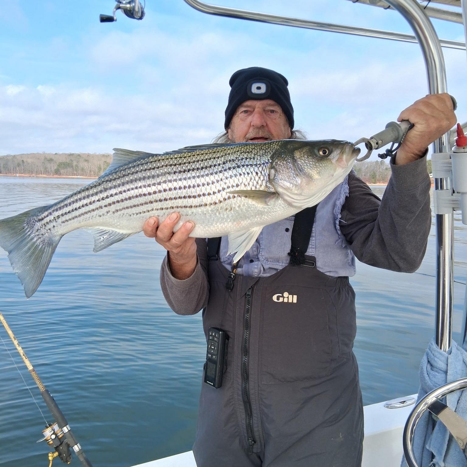 Striped bass catch on fishing boat in Cumming GA