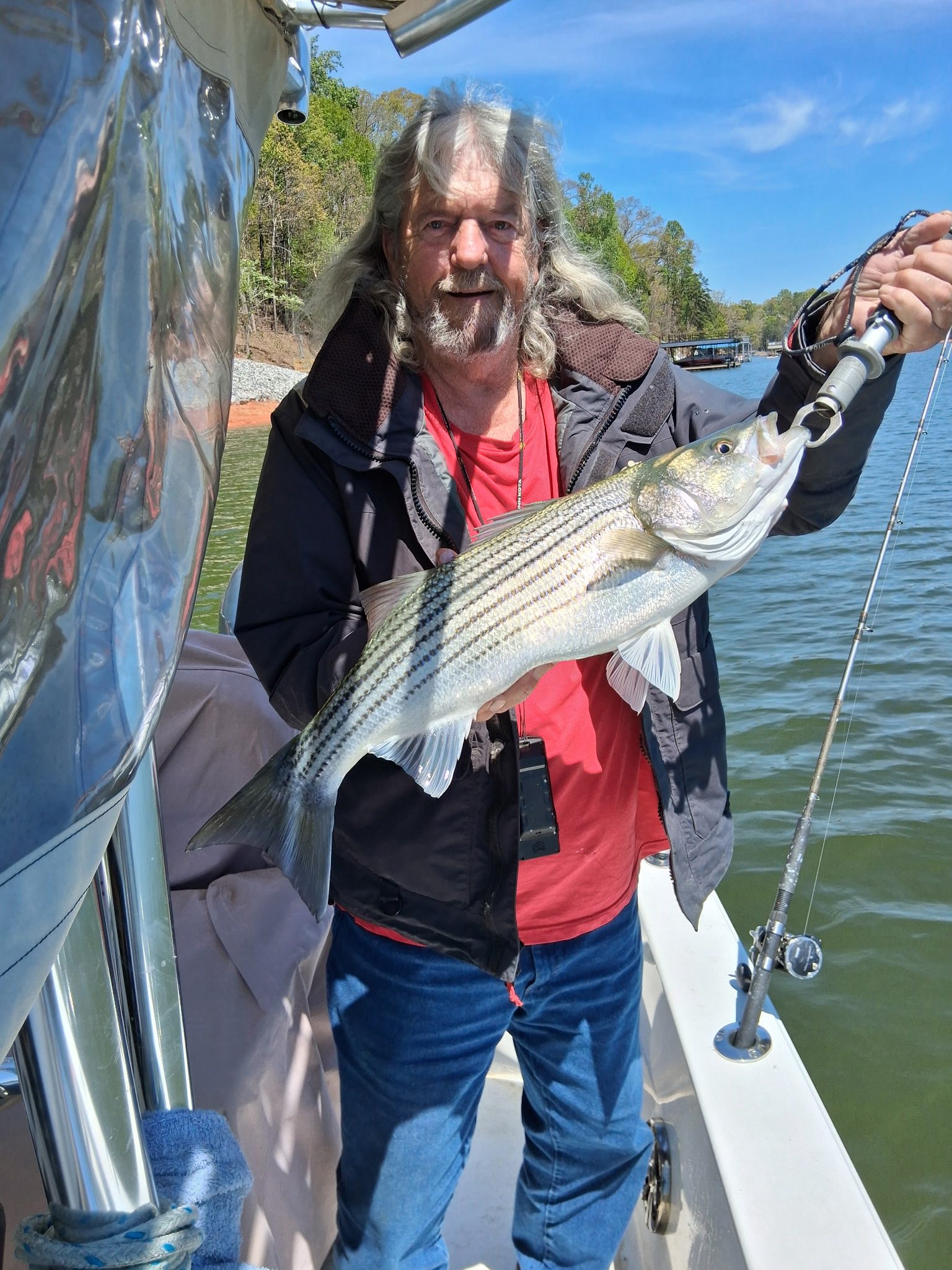 Striped bass caught while fishing on boat in Cumming GA