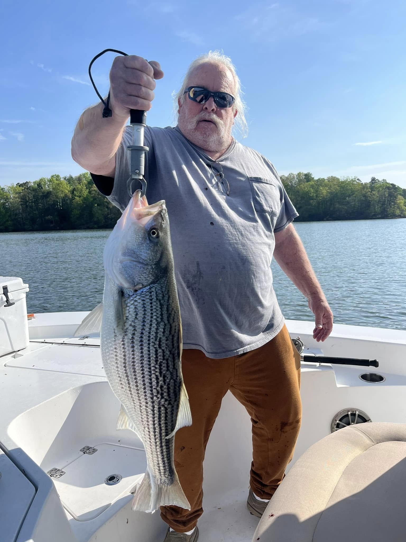 Striped bass caught fishing in Cumming GA on boat deck