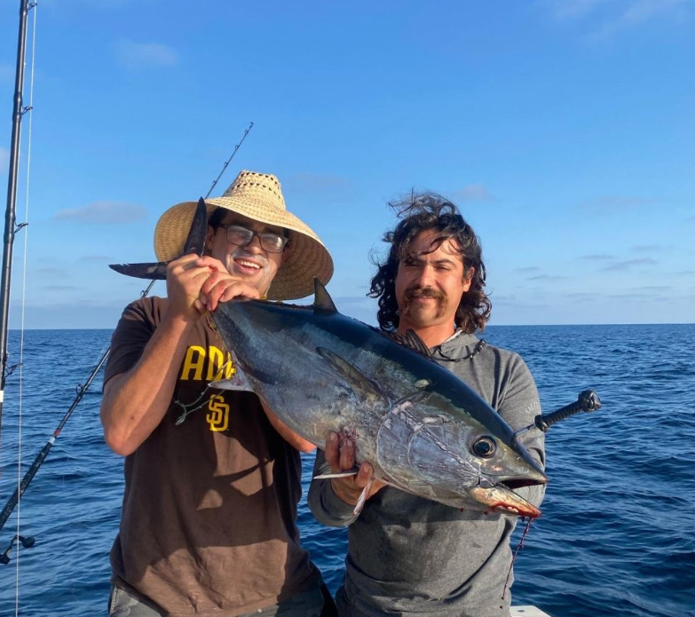 One Atlantic Bonito fish caught in CA