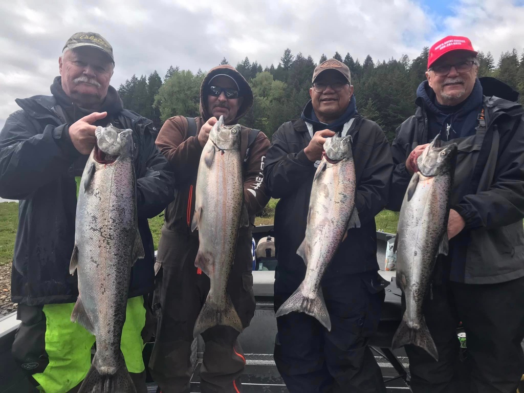 Four Coho and Chinook Salmon caught while fishing in Toledo