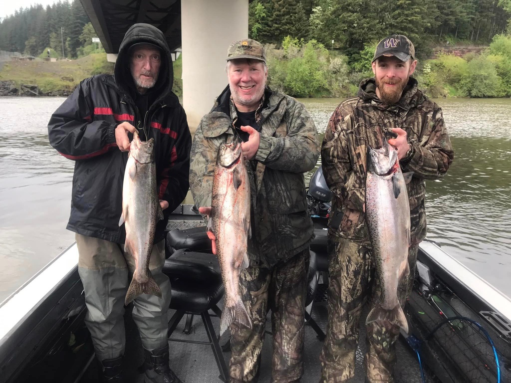 Three rainbow trout, fishing in Toledo