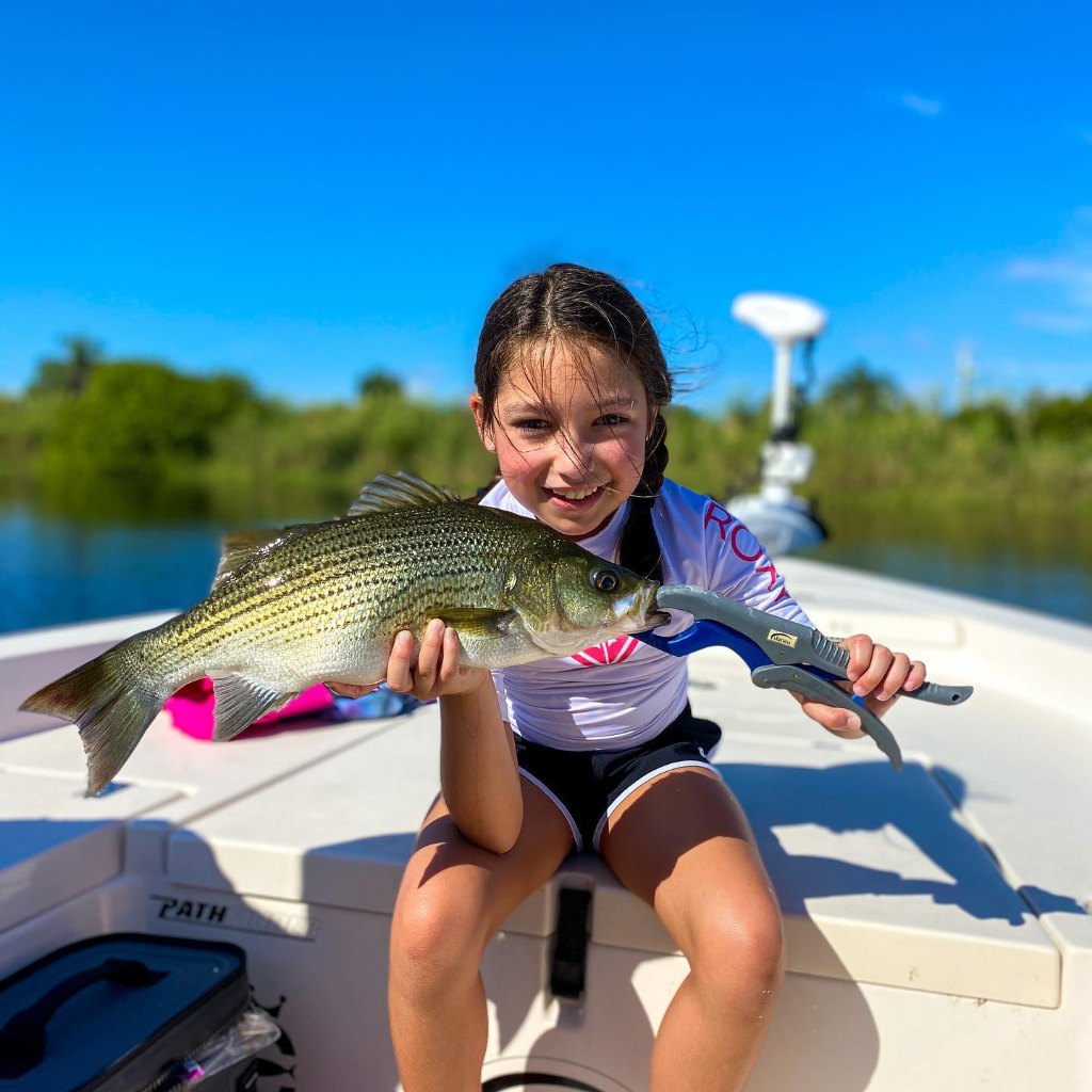 Wiper (Hybrid striped bass) caught in Delray Beach