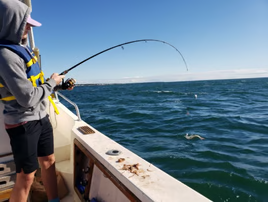 Fishing in MA