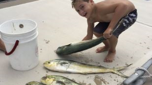 Two fish caught in FL