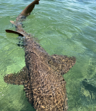 Fishing in FL