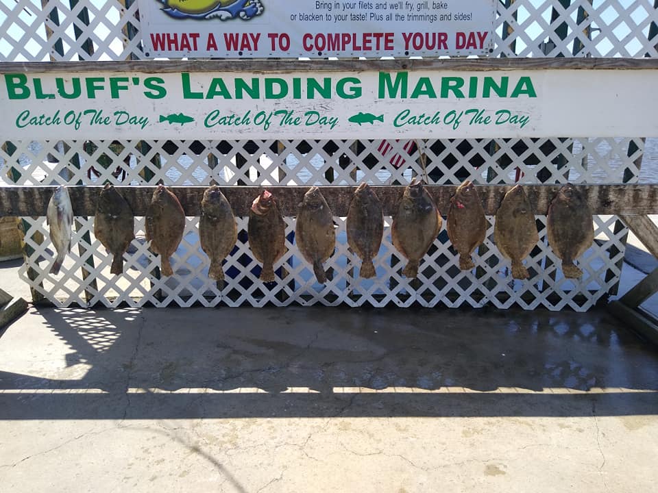 Fishing adventure in TX