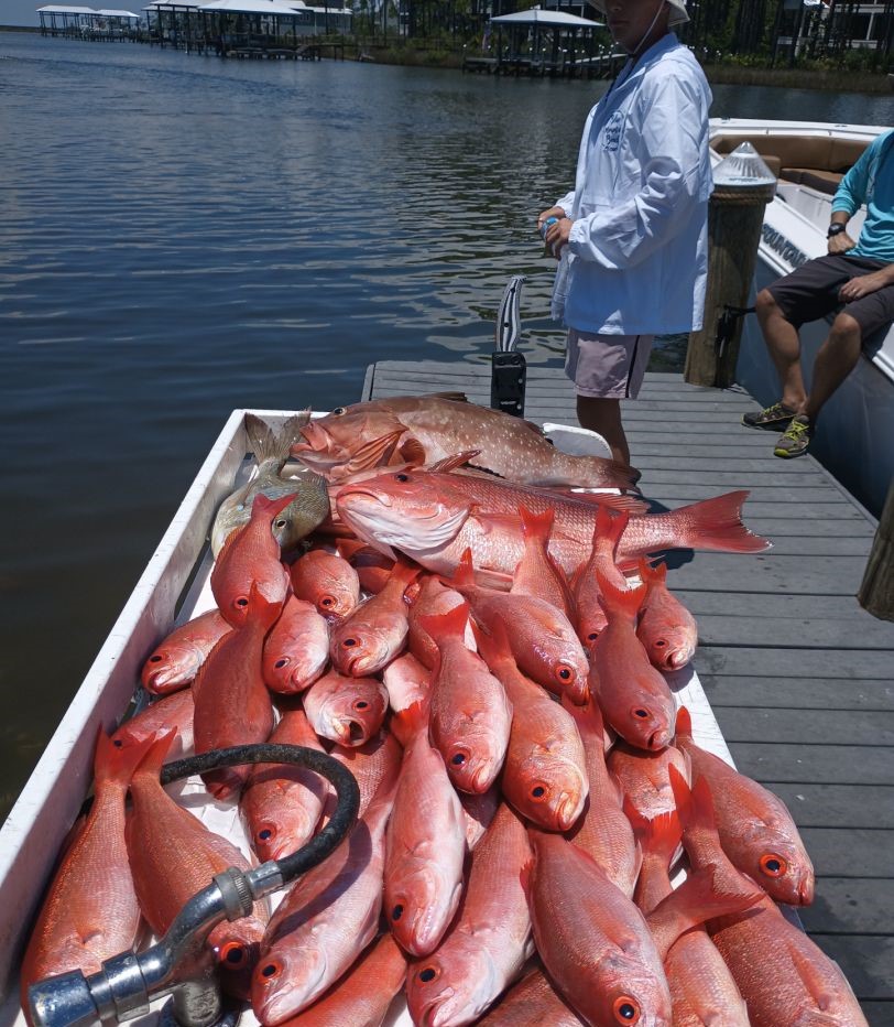 Large catch of red grouper fish displayed on boat dock in Santa Rosa Beach FL