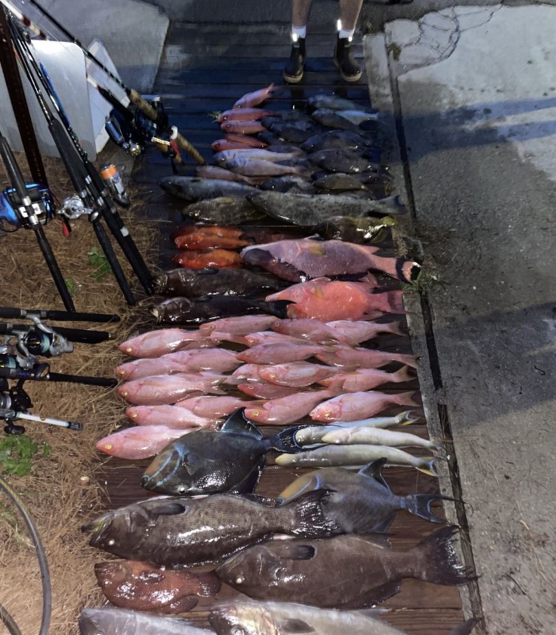 Three fish caught while fishing in NC