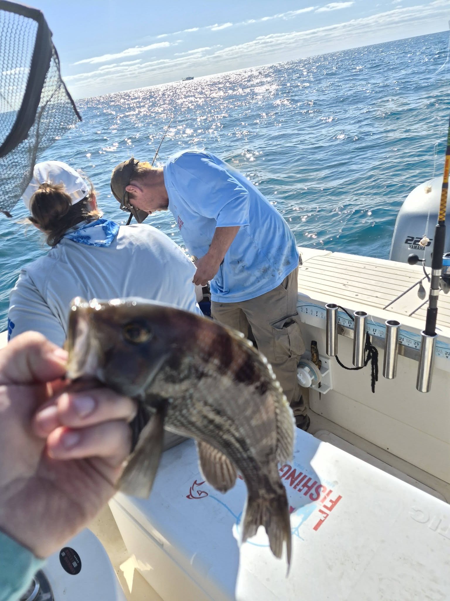 Black sea bass caught while fishing off Edisto Beach SC with fishing boat and ocean in background