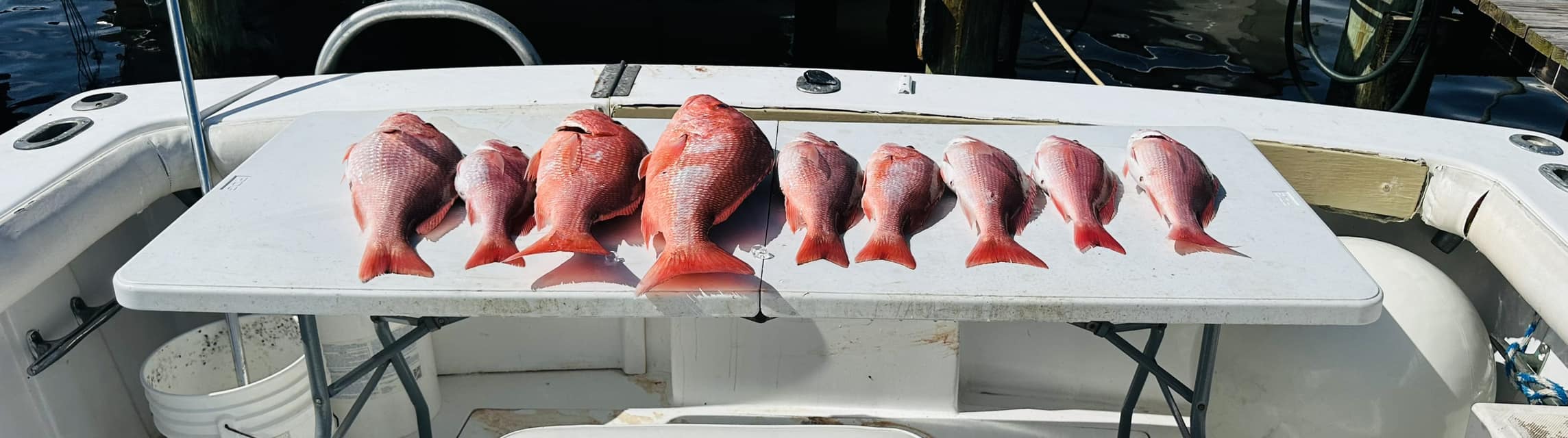 Two fish caught at Fort Morgan beach, recreational fishing