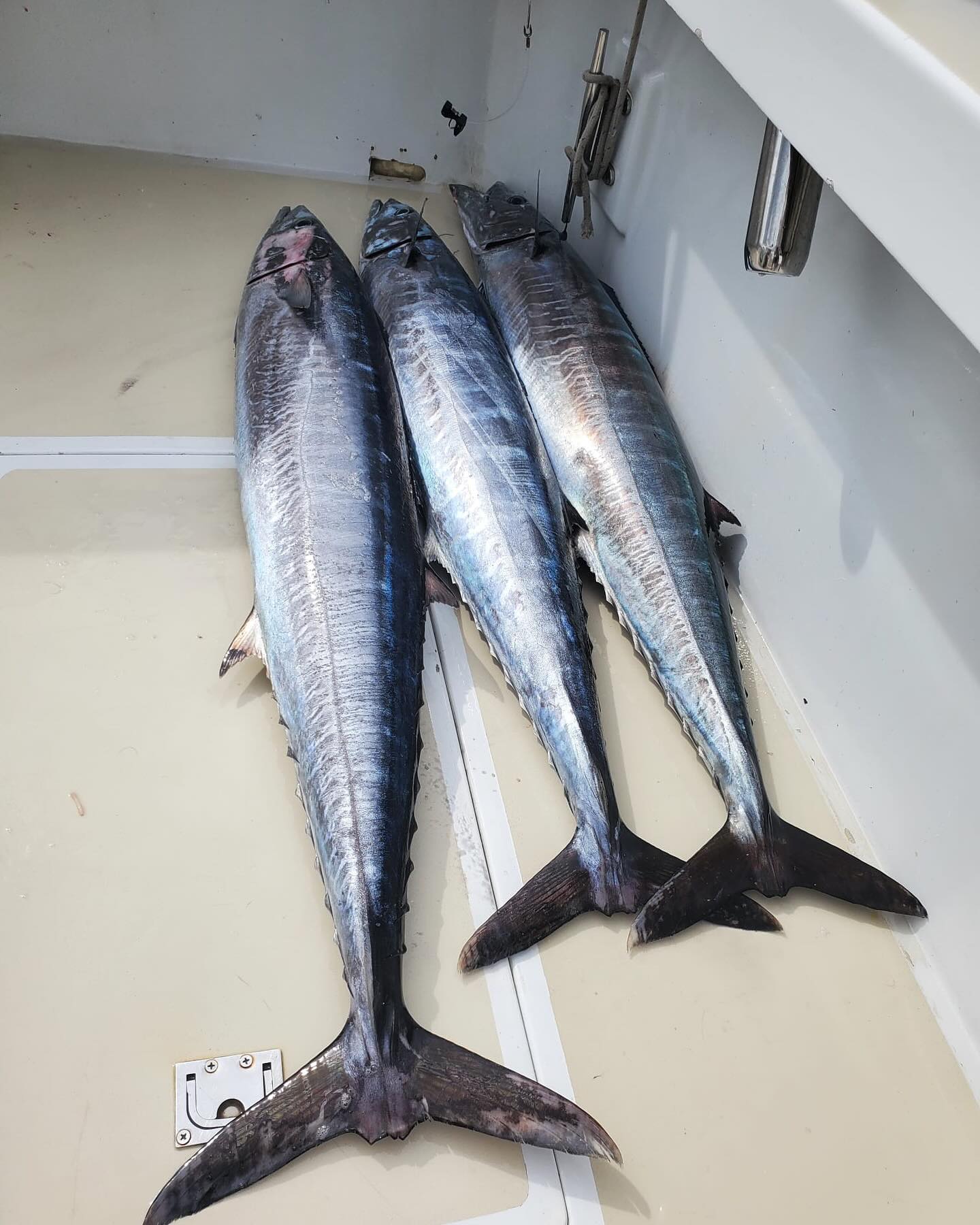 Fishing charter in Cozumel with Sea Candy Cozumel