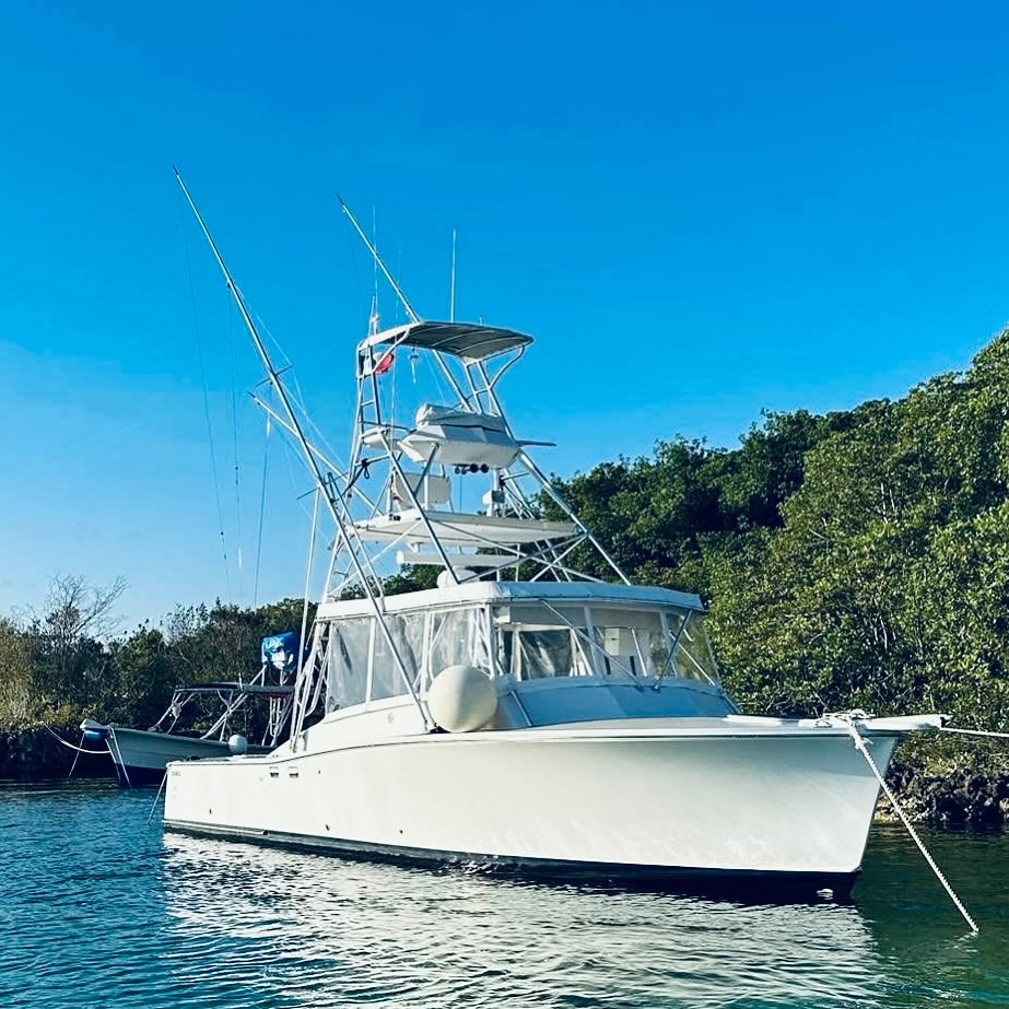 Prowler 22'
