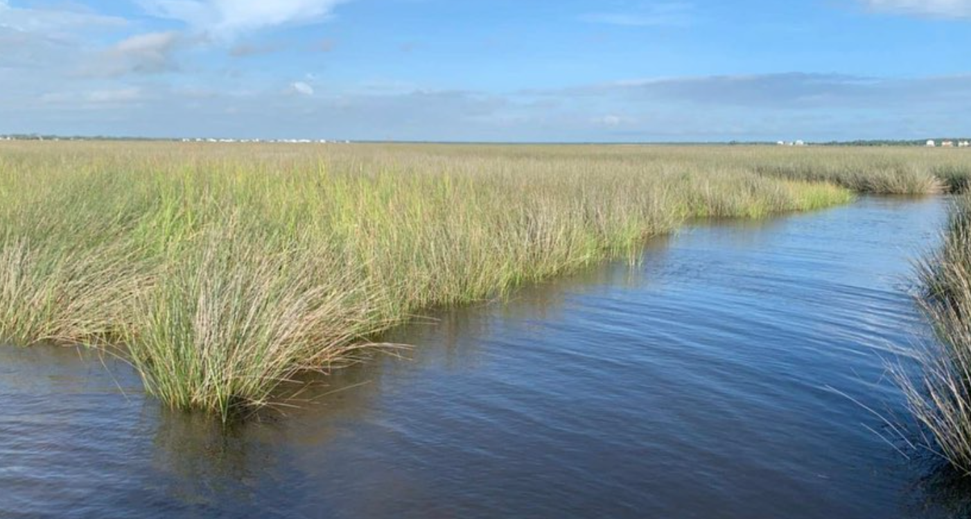 Scenic view of Galveston, Texas coastline