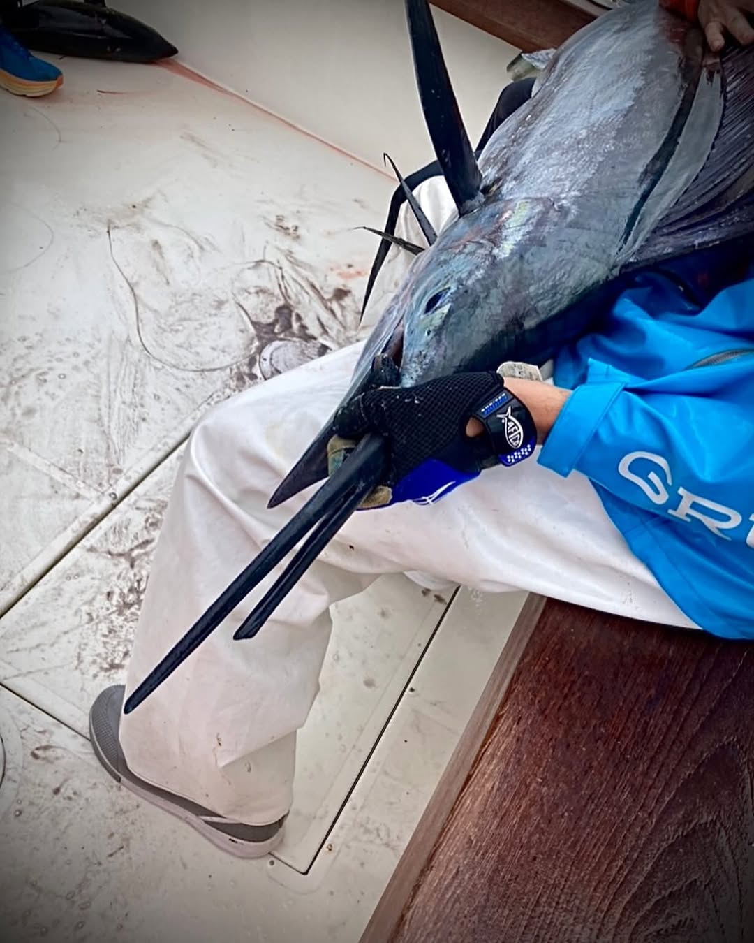 Best fishing trip in FL