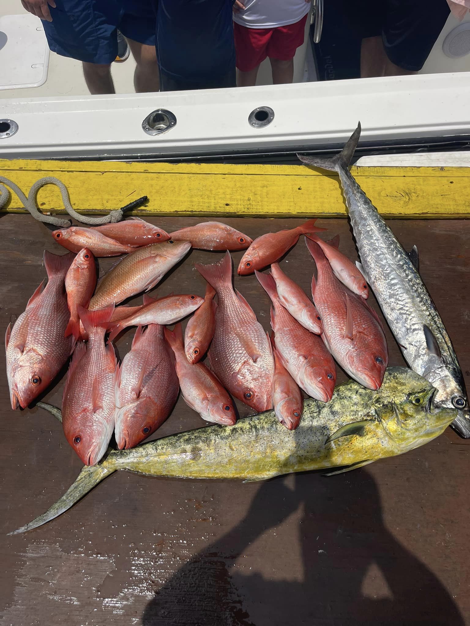 7 king mackerel caught while fishing in FL
