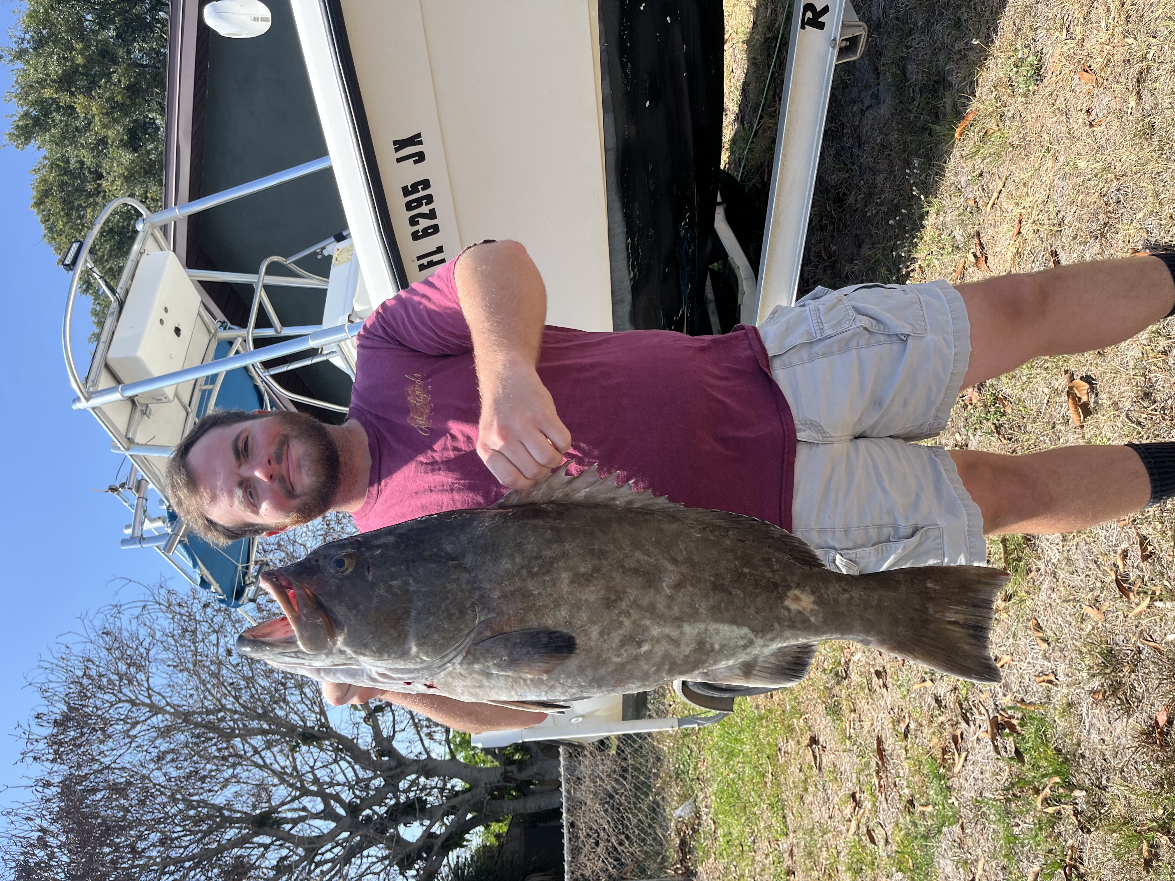 Gag grouper catch displayed on fishing charter boat in Palm Bay FL