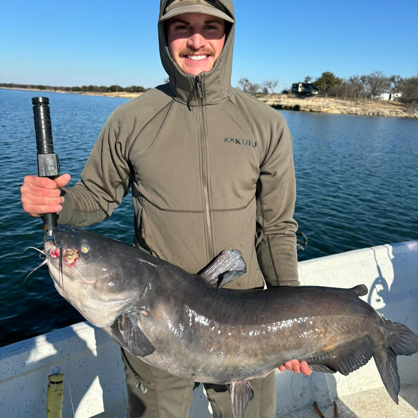 A fisherman holding a large blue catfish in Clifton