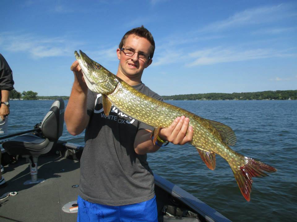 Chain Pickerel, 29-inch fish caught in WI