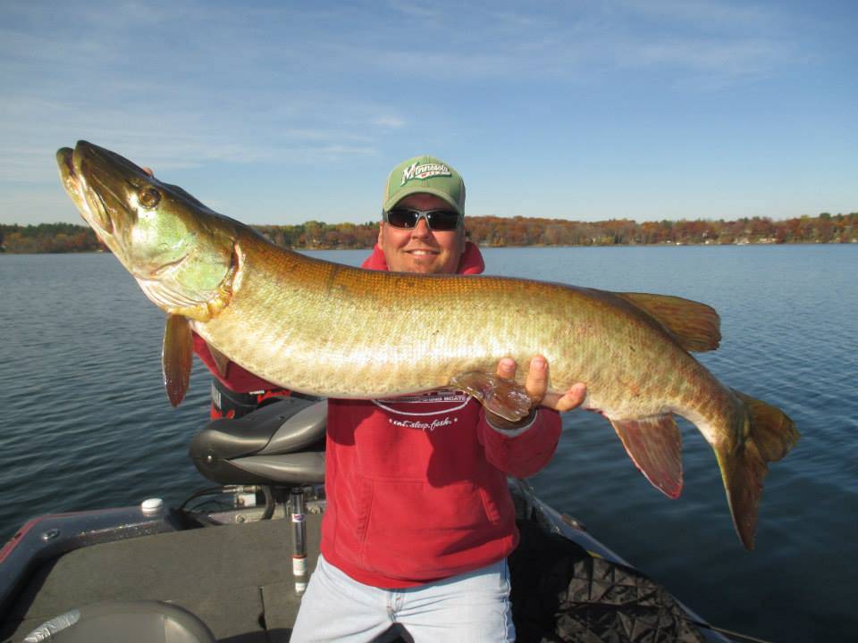 Muskellunge fish caught in WI