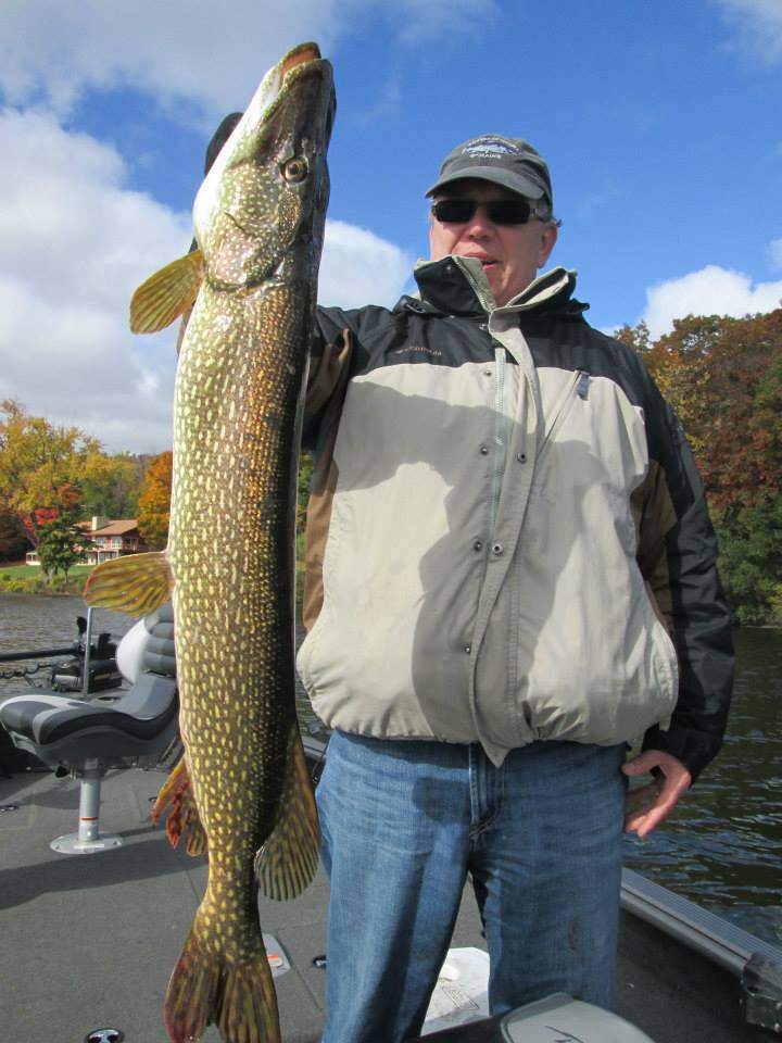 Northern Pike, 39-inch fish caught while fishing in Delavan