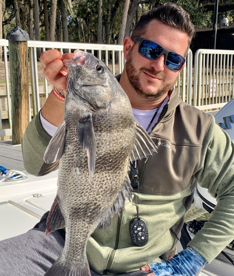 Angler catching black drum fish in Florida