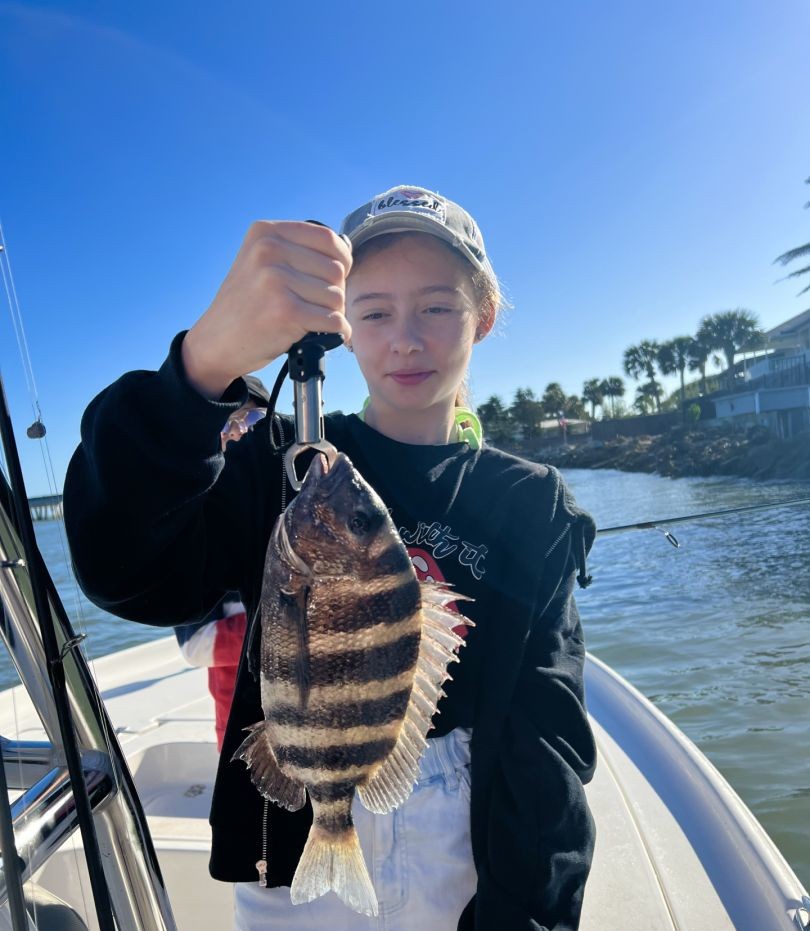 Sheepshead fish caught in FL
