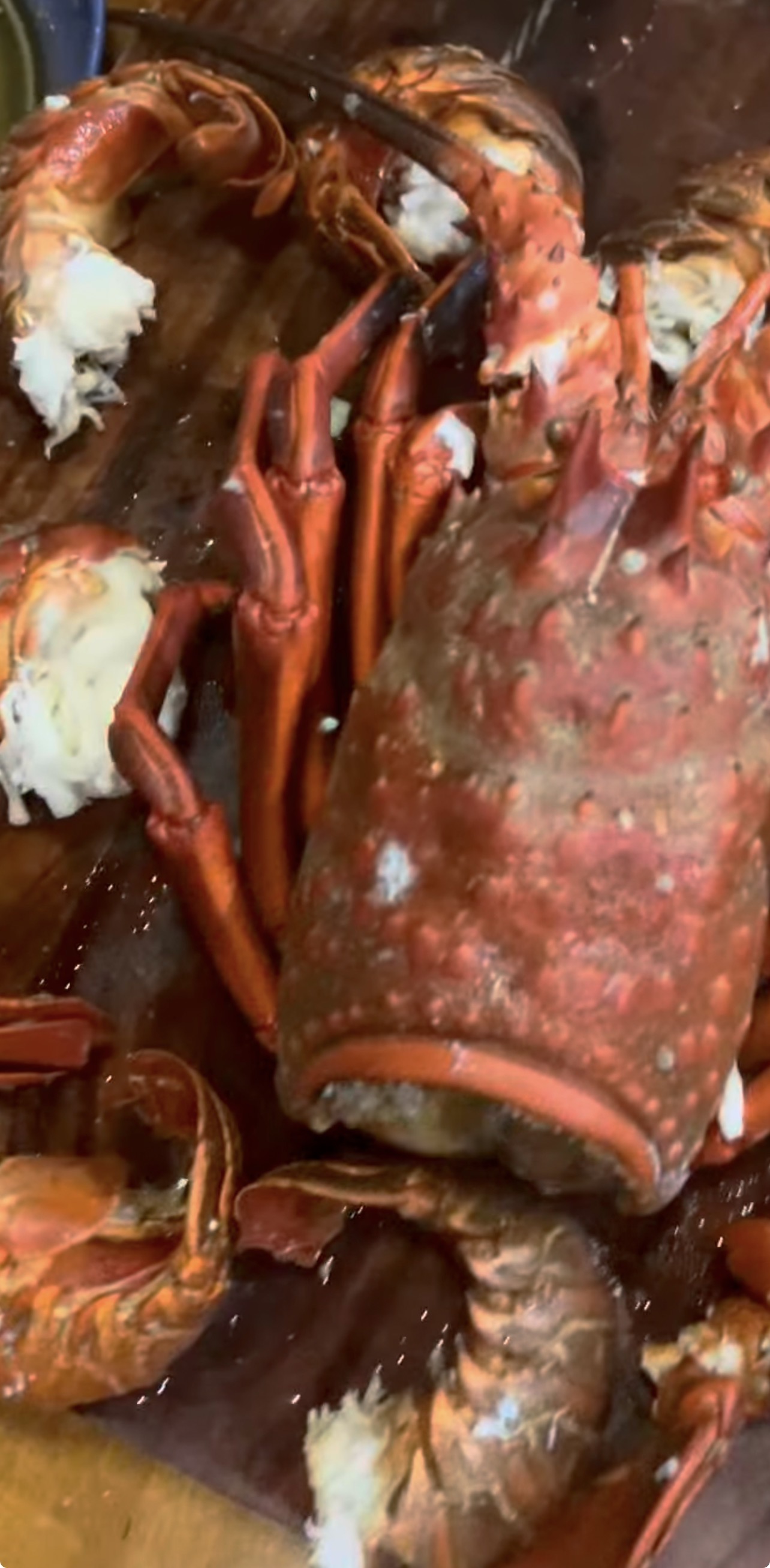 Fresh cooked lobsters with bright red shells in San Diego CA
