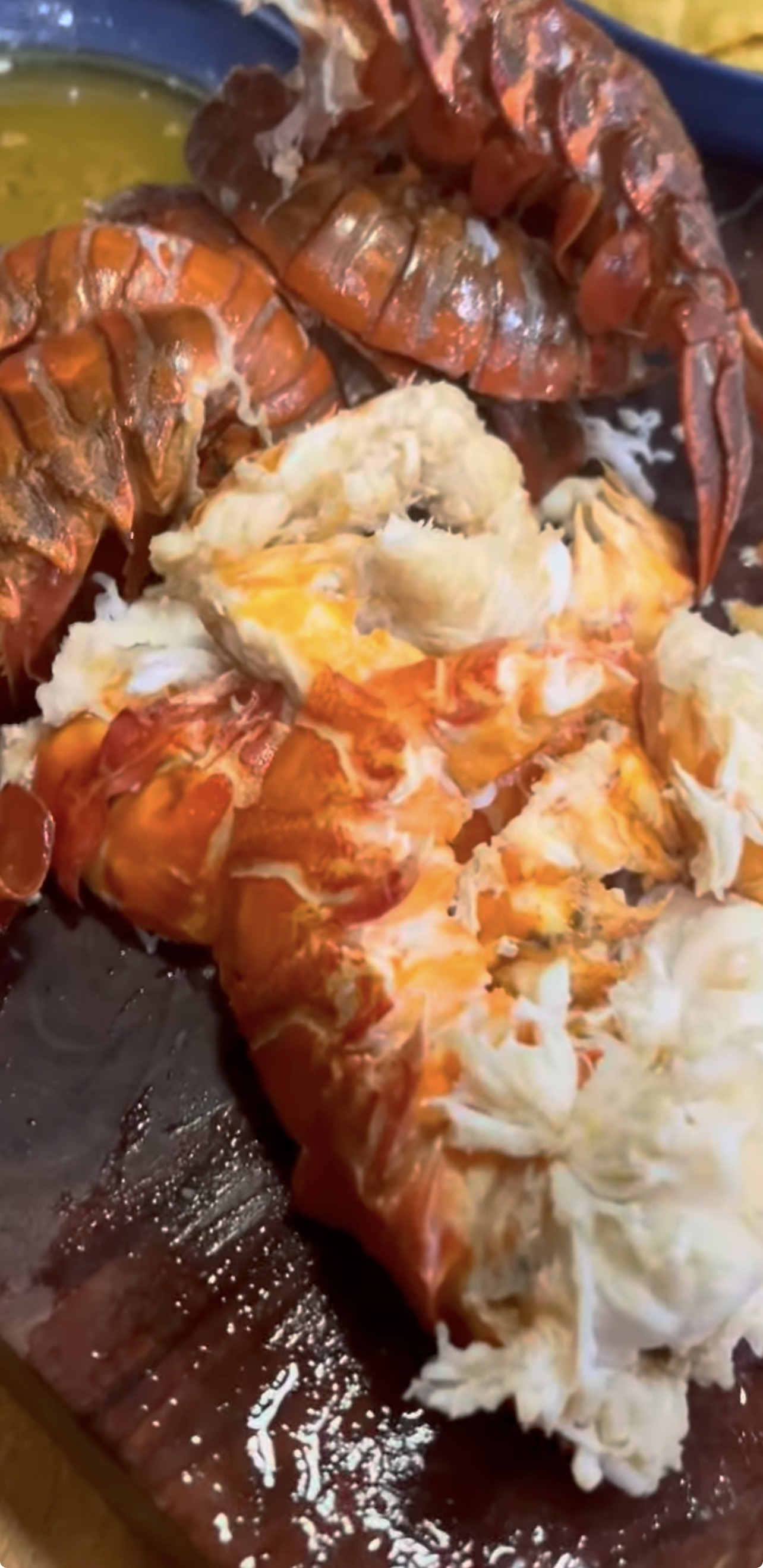 Fresh caught lobsters and crab from San Diego fishing cruise