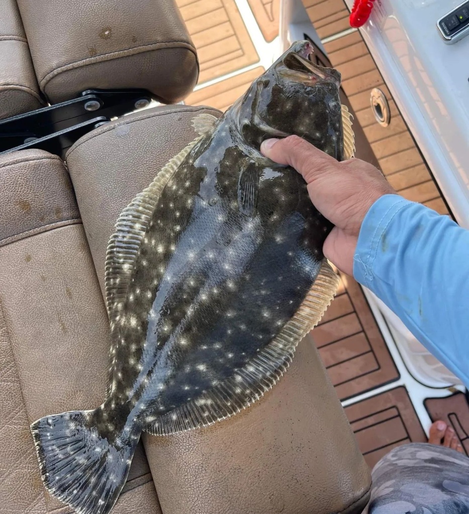 Summer Flounder caught in SC