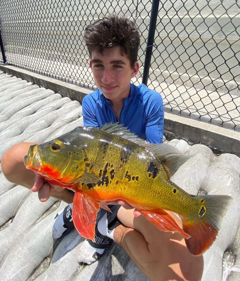 Angler with big fish in Miami