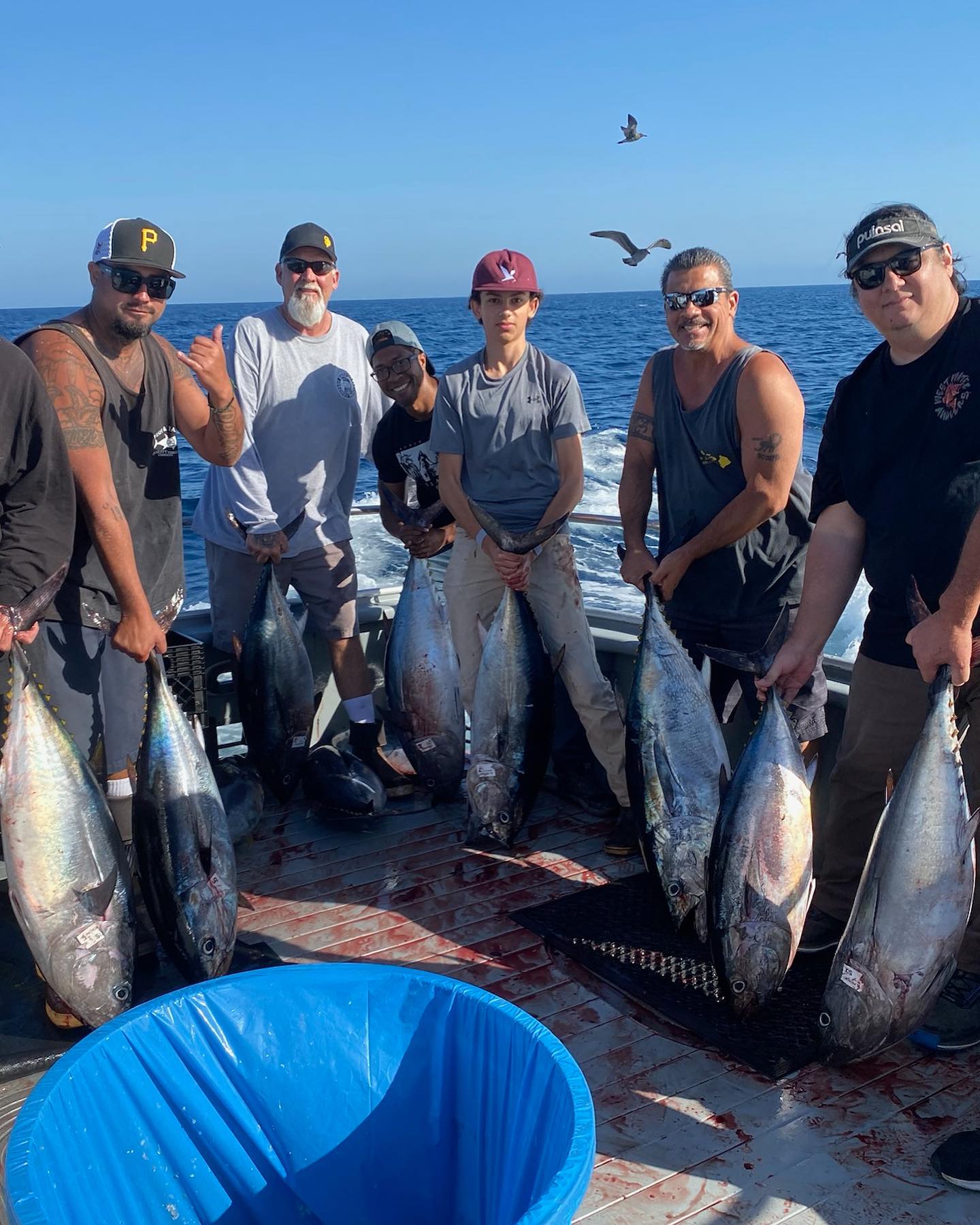 6 blackfin tuna fish caught while fishing in Los Angeles