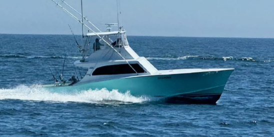 Roanoke Sportfishing