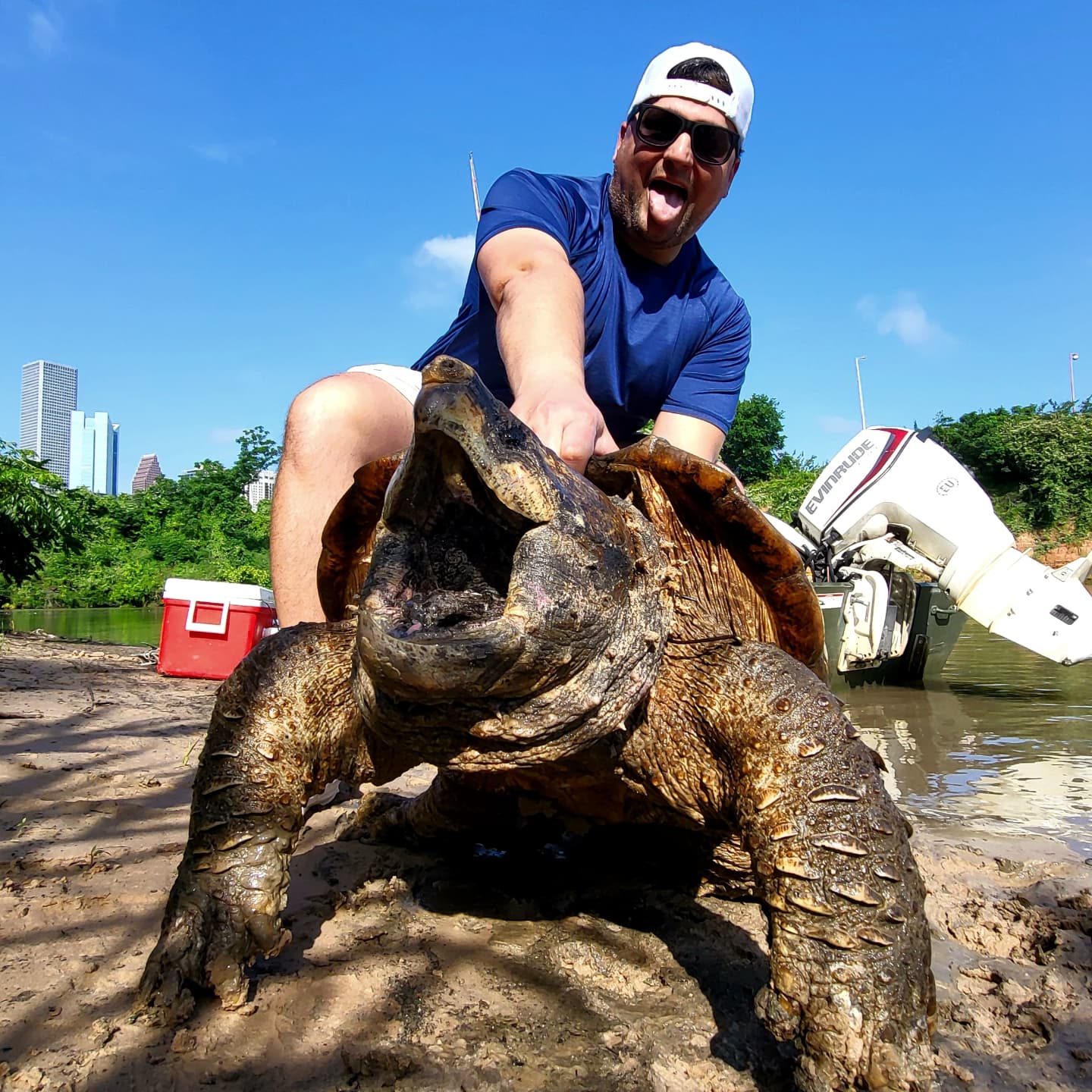 Large snapping turtle caught fishing in Houston TX