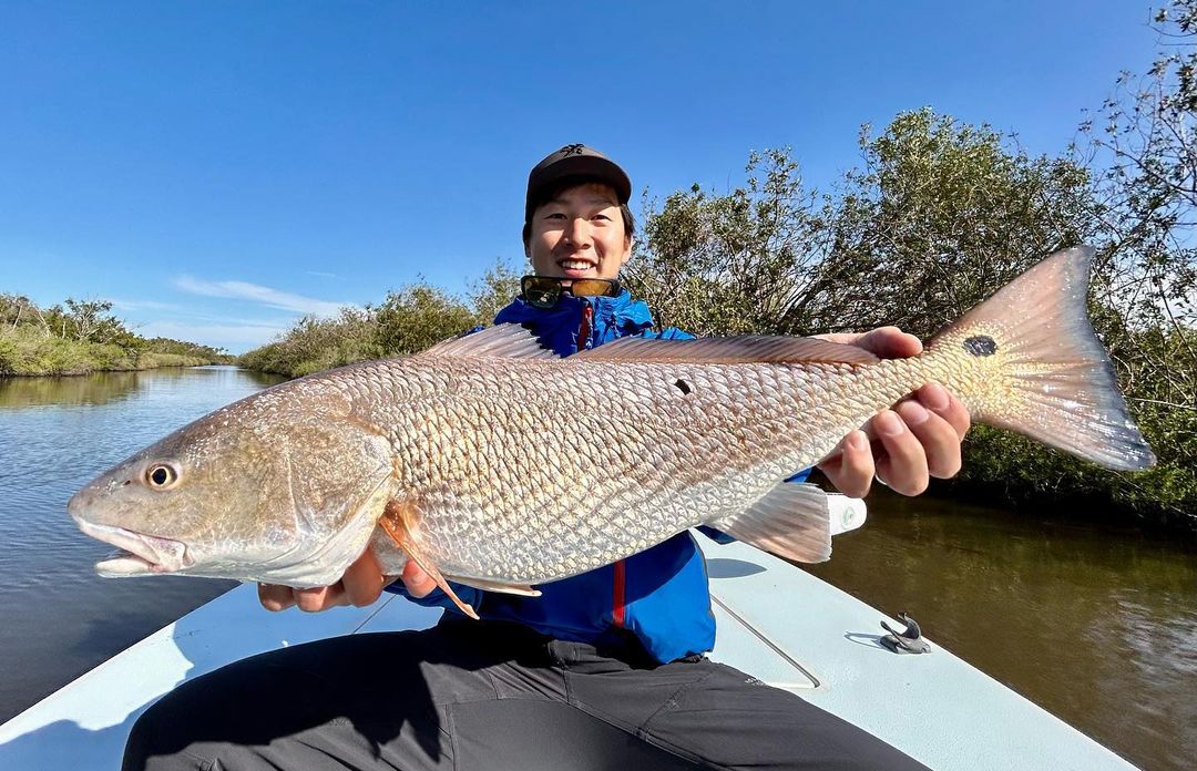 Redfish caught in Palm Coast
