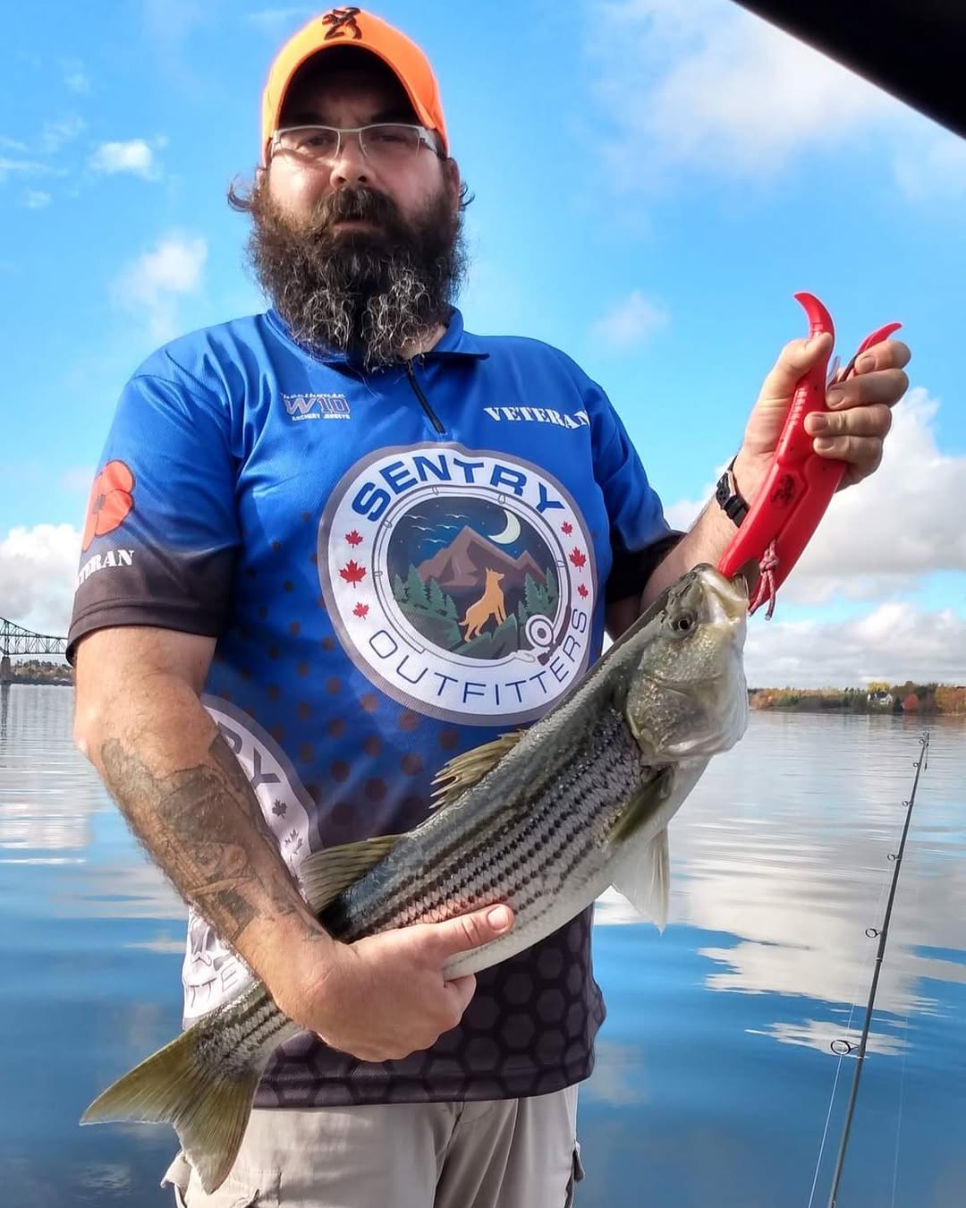 Striped bass catch displayed on fishing boat in Lantz NS