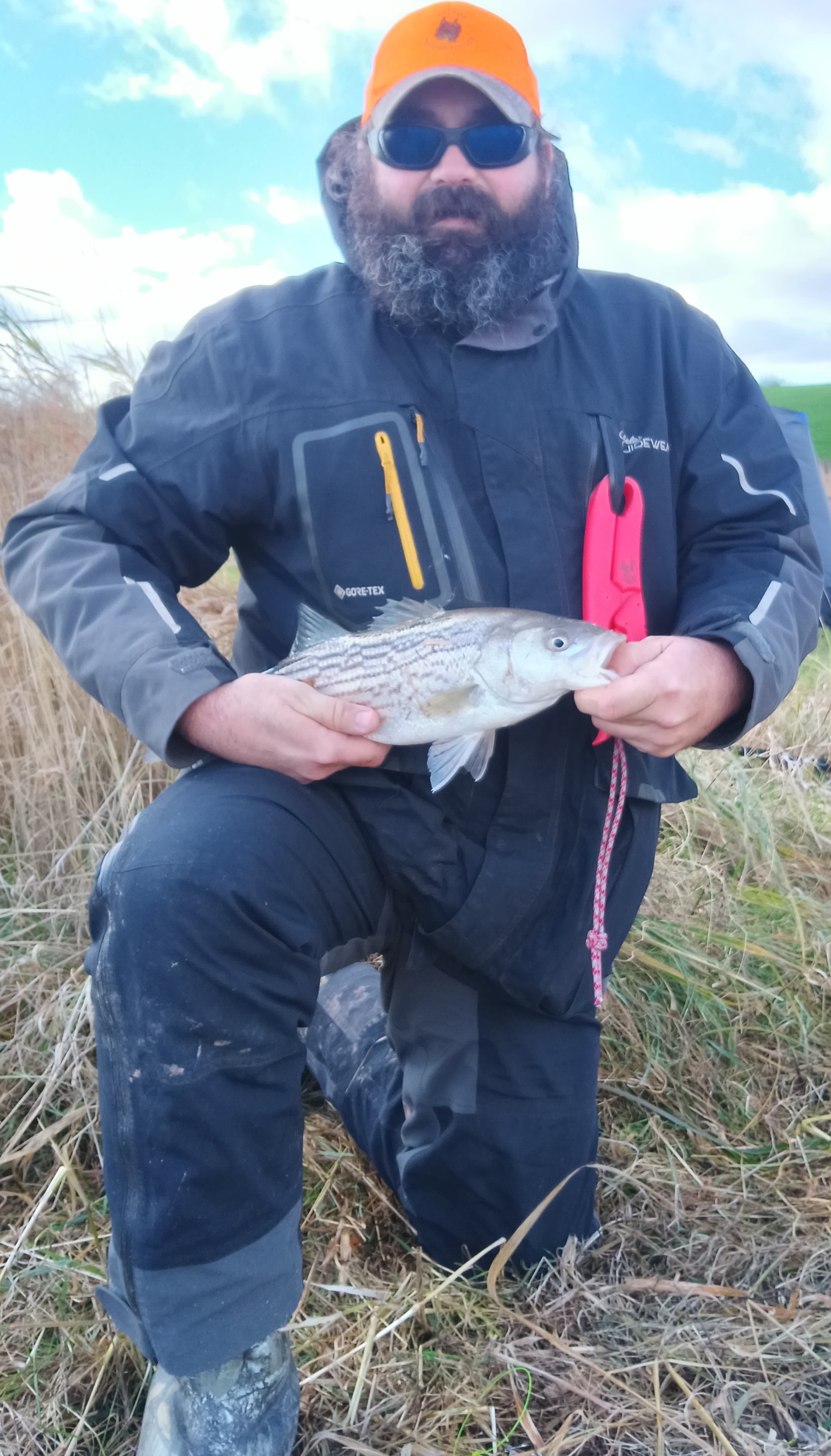 Angler holding caught striped bass while kneeling in marsh grass