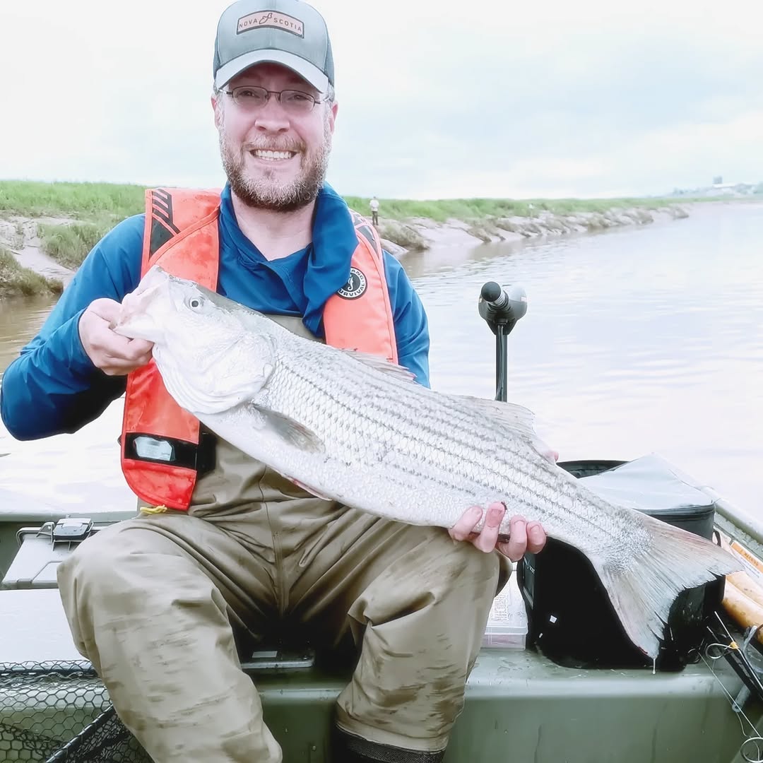 Striped bass catch displayed on fishing boat in Lantz NS